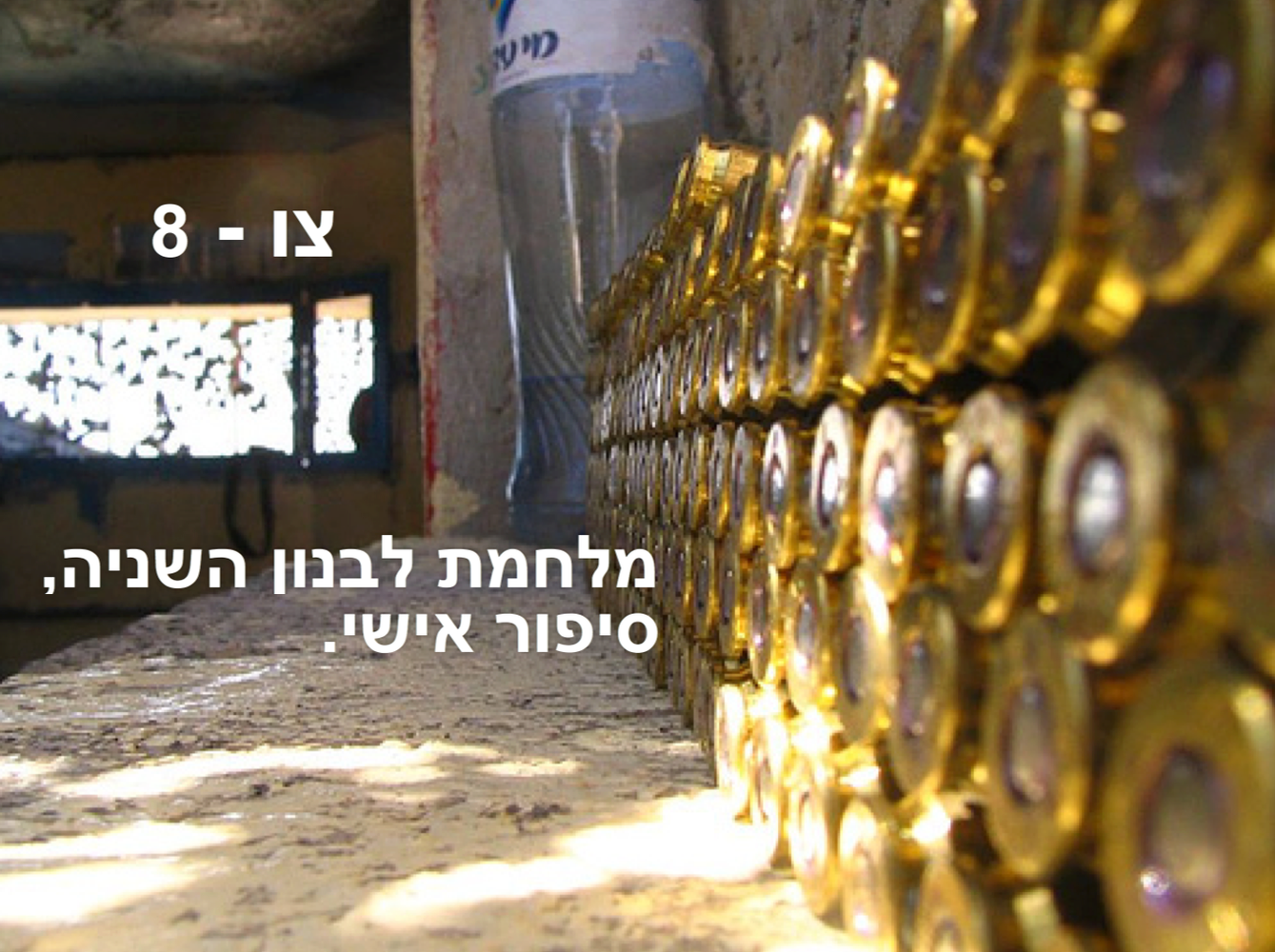 צו 8 - מלחמת לבנון ה 2